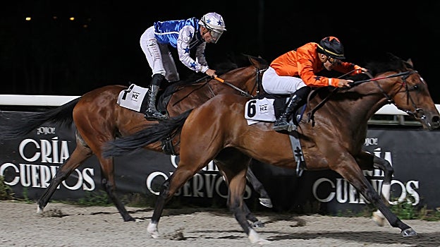 Xilado, ganador del Premio Florentino González