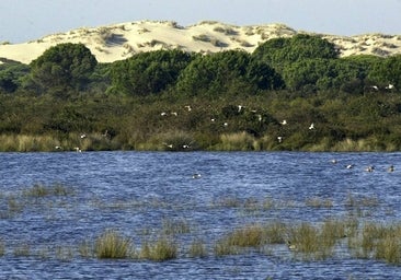 La anterior Doñana