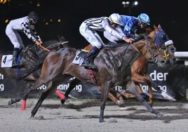 'Las Noches del Hipódromo' siguen jugando a caballo ganador