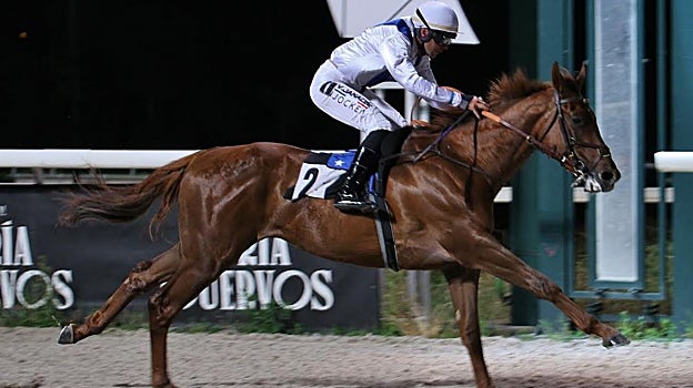 «Joker» - 1ª Carrera «Premio Sur»