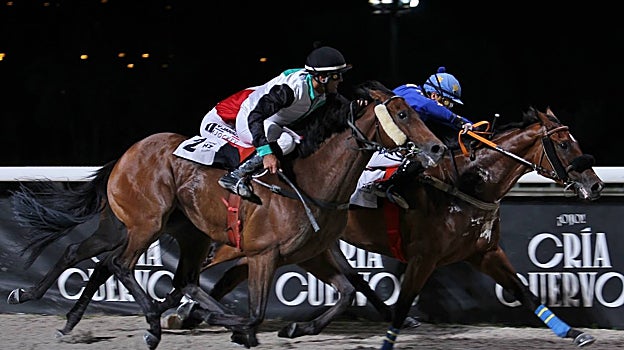 "playa Dorada" - 5ª Carrera "Premio Juan Vicente Chavarrías"