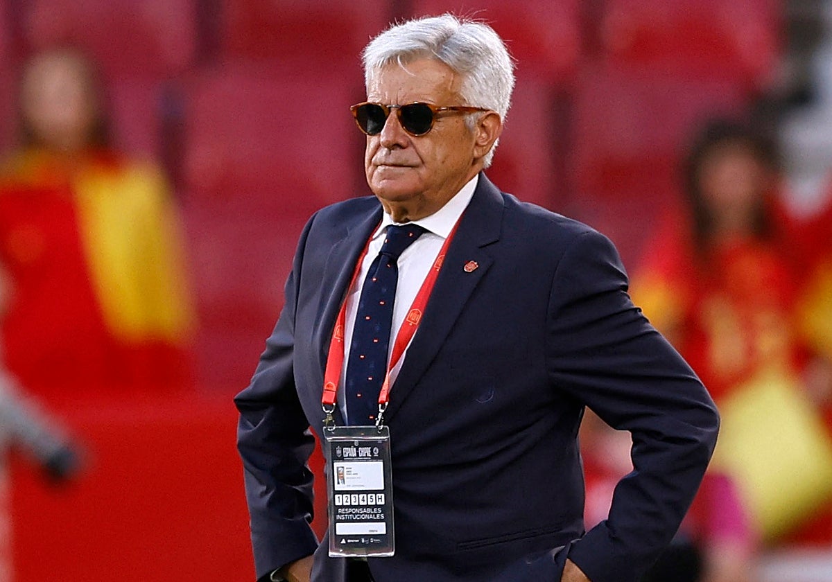 Pedro Rocha, actual presidente de la Comisión Gestora de la RFEF