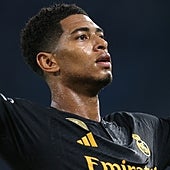 Adivina quién viene