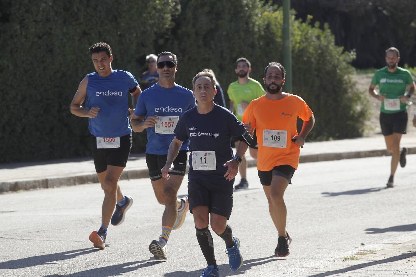 Celebración de la Carrera de Empresas de ABC de Sevilla