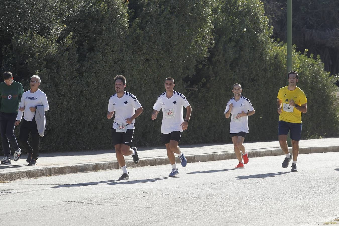 Celebración de la Carrera de Empresas de ABC de Sevilla