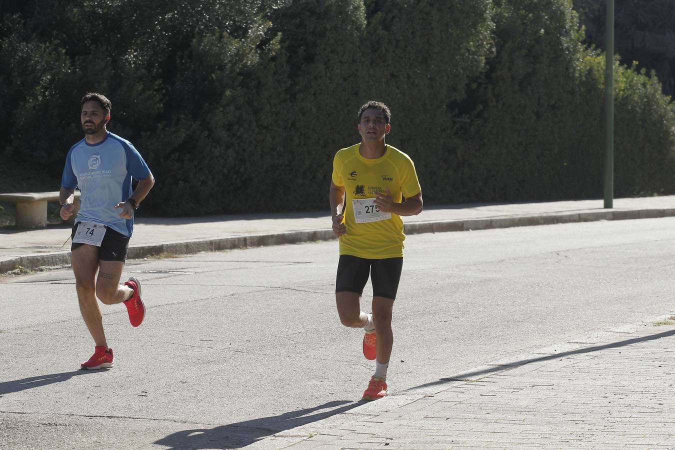 Celebración de la Carrera de Empresas de ABC de Sevilla