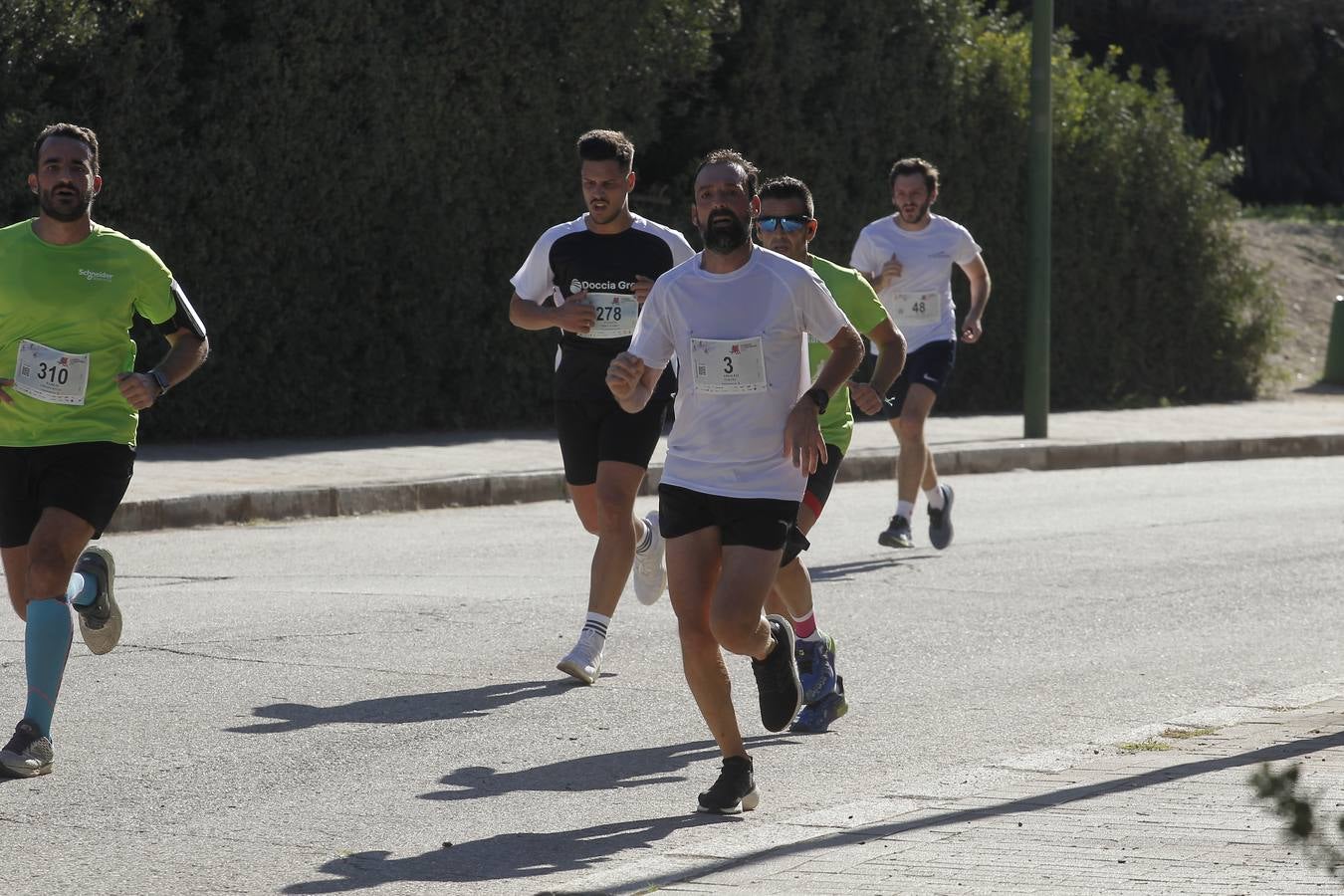 Celebración de la Carrera de Empresas de ABC de Sevilla