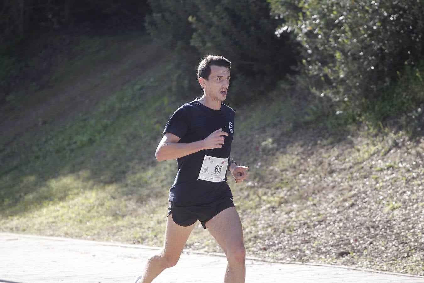 Celebración de la Carrera de Empresas de ABC de Sevilla