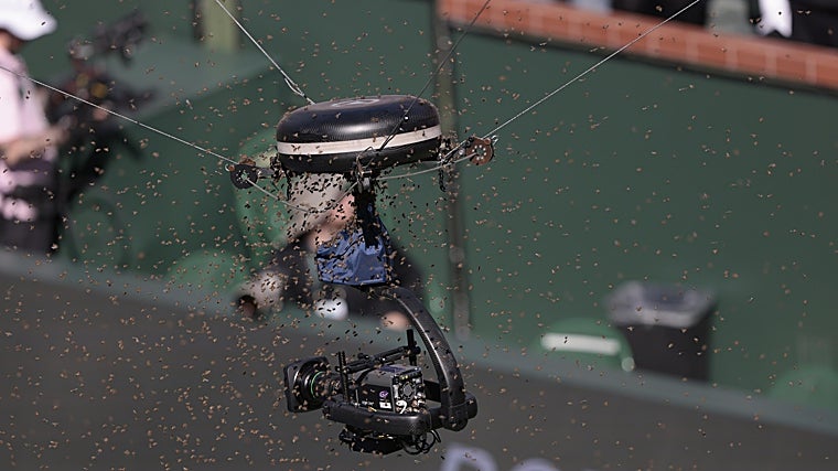 Una invasión de abejas provocó la suspensión del duelo entre Alcaraz y Zverev durante casi dos horas