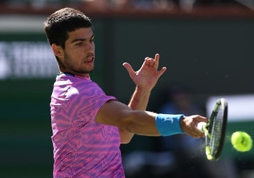 Ni las abejas ni Zverev pueden con este Alcaraz crecido