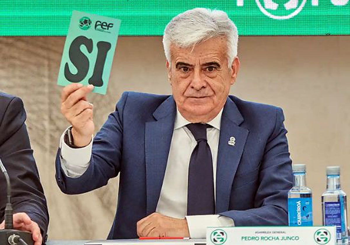 Pedro Rocha, durante una votación en la Federación de Fútbol