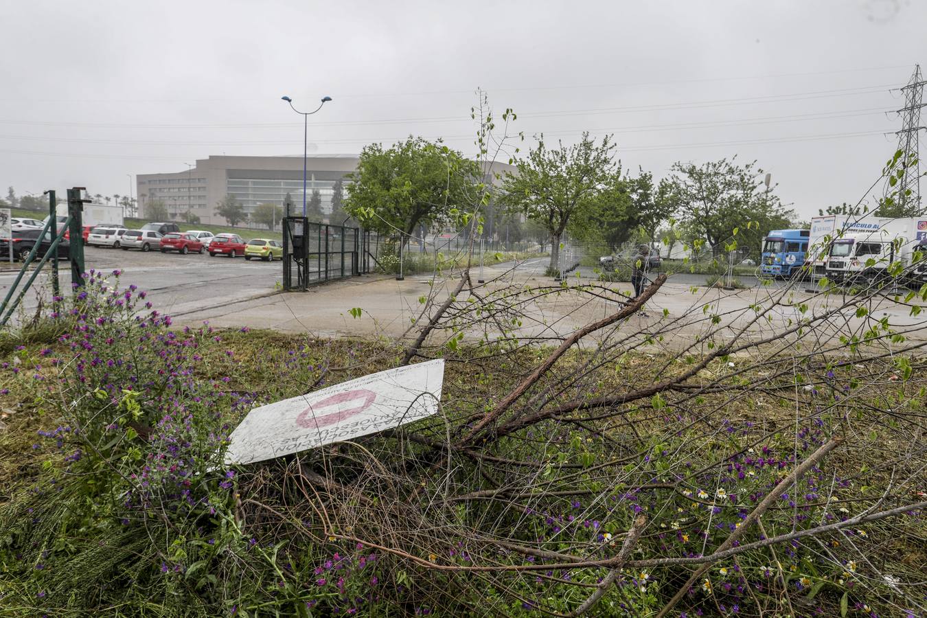 Los aledaños del estadio de La Cartuja presentan numerosos desperfectos