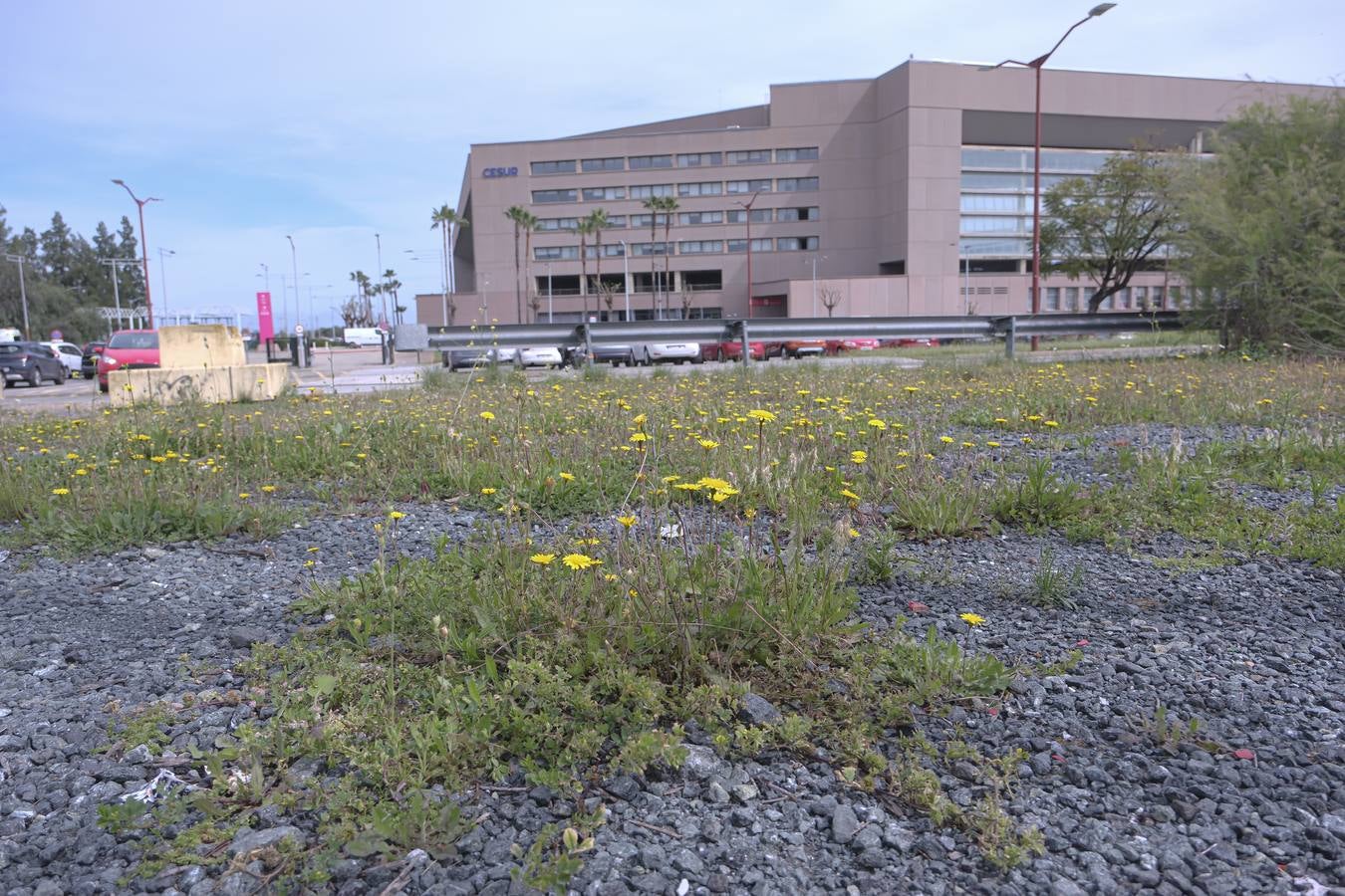 Los aledaños del estadio de La Cartuja presentan numerosos desperfectos