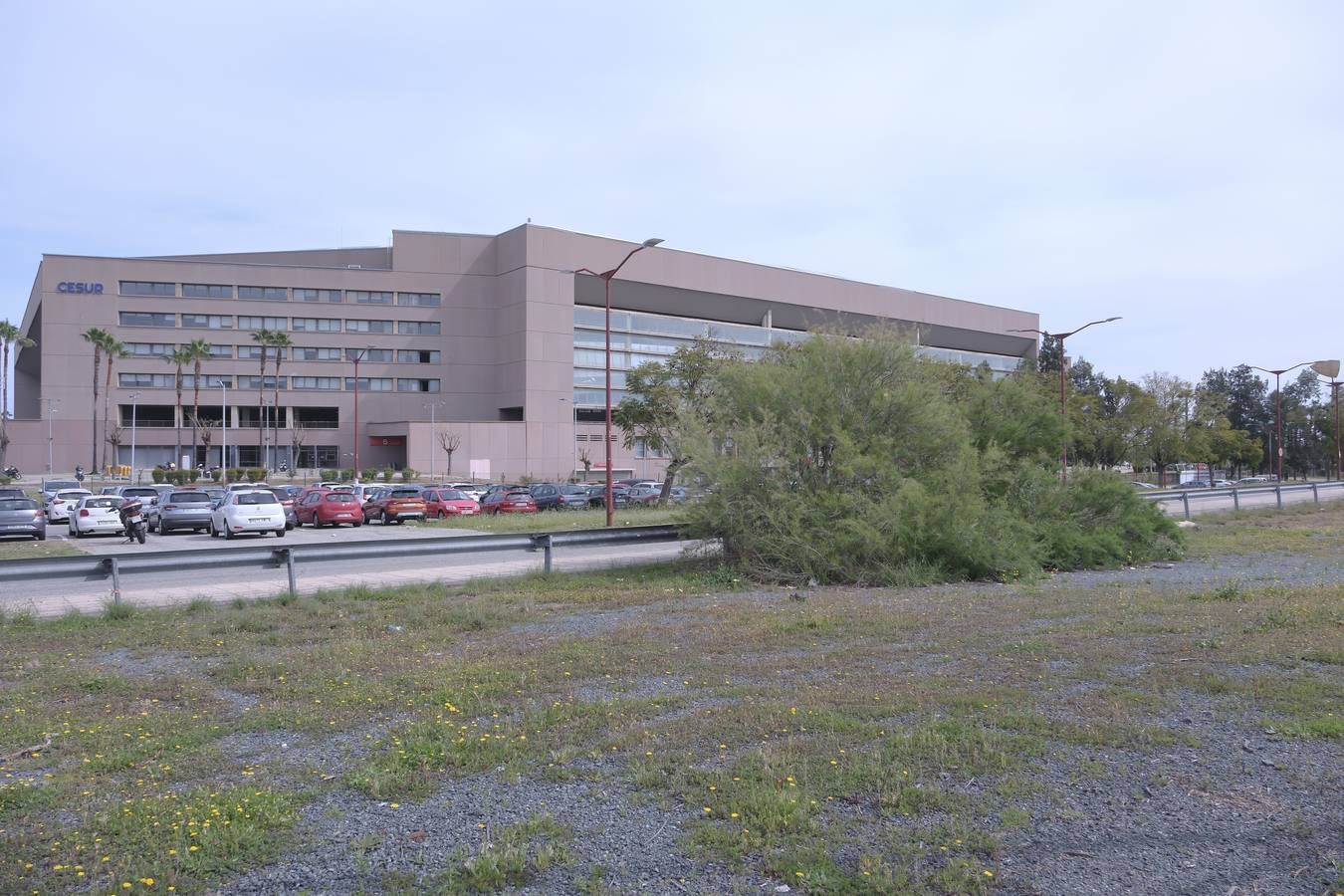 Los aledaños del estadio de La Cartuja presentan numerosos desperfectos