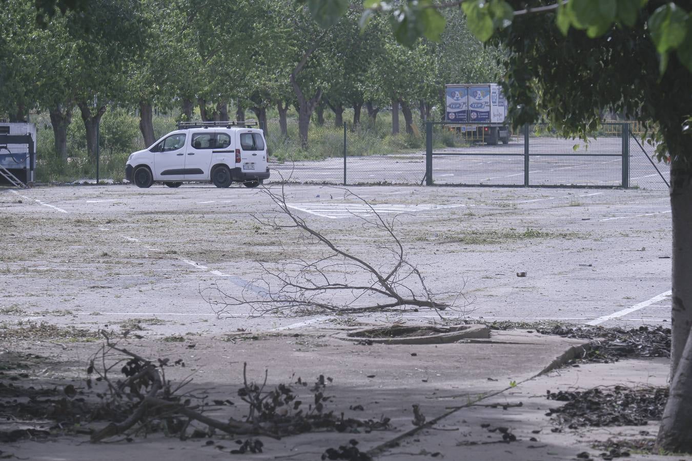 Los aledaños del estadio de La Cartuja presentan numerosos desperfectos