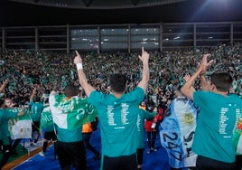 El Betis tiene el «compromiso» de la Junta y del Ayuntamiento para mejorar a tiempo los accesos al Estadio de la Cartuja