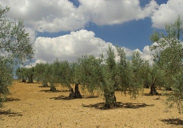La biodiversidad en boca de todos