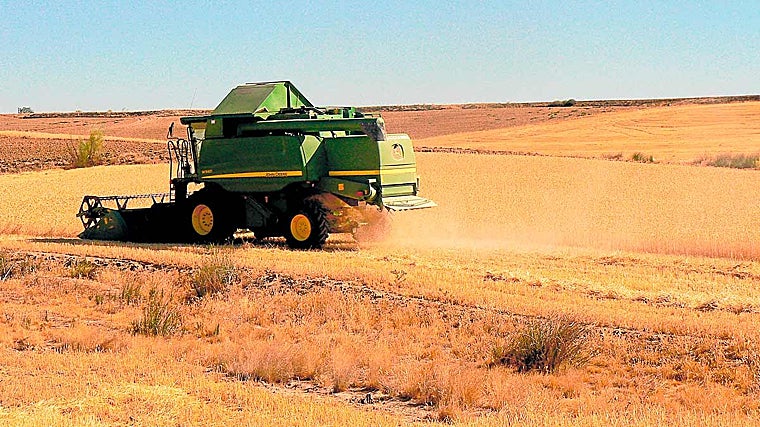 Una cosechadora en tierras de Castilla.
