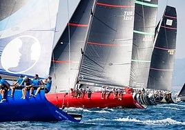 «Provezza» lidera la Royal Cup y «Platoon Aviation» anima la batalla por el título