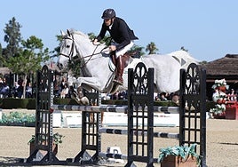 El Real Club Pineda acoge el Campeonato de España de Veteranos de Saltos y un Nacional de cuatro estrellas