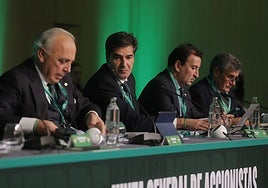 El Betis ve «plantilla suficiente» y enfría el mercado de enero