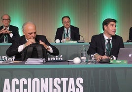 El nuevo mapa accionarial y la reforma estatutaria, asuntos principales de la junta de accionistas del Betis