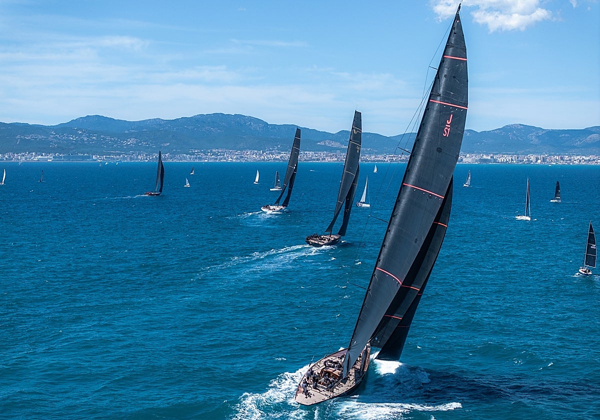 La flota de grandes esloras compitiendo durante la pasada PalmaVela