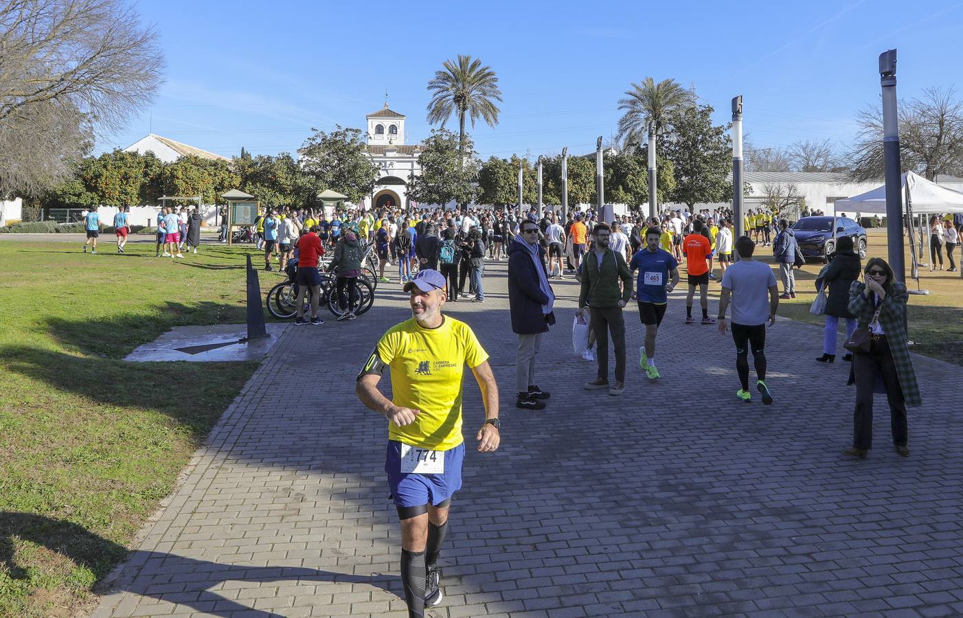 Celebración de la Carrera de Empresas de ABC de Sevilla