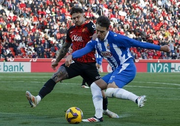 El Betis se posiciona por Maffeo