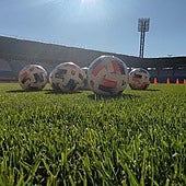 Rebelión contra el uso de hierba natural en la Liga de Primera Federación