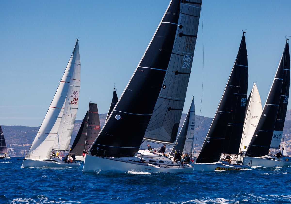 La flota de ORC 3 en acción en la PalmaVela 2024