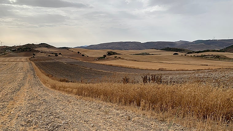 Terrenos de caza en la localidad malagueña de Almargen