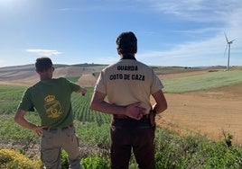 La Junta concede el Premio Andalucía de Medio Ambiente en la 'Caza Sostenible' a la Sociedad de Cazadores de Almargen