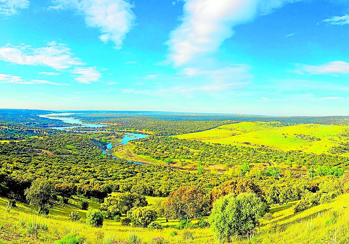Monte de El Pardo, en Madrid