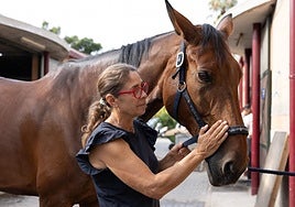 Caballos de élite, pacientes VIP en la F1 de la hípica