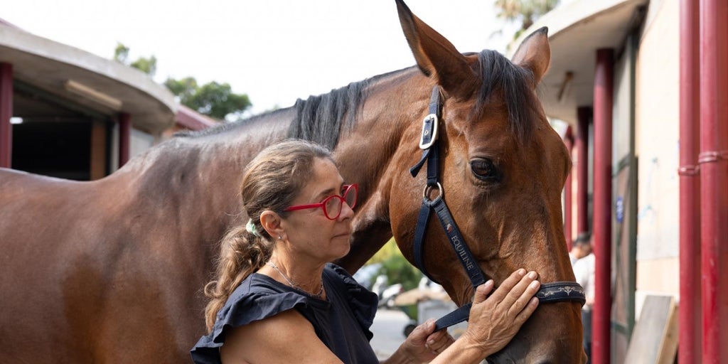 Caballos de élite, pacientes VIP en la F1 de la hípica