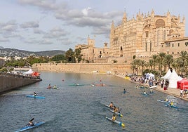 Medallistas olímpicos y campeones del mundo competirán en Palma