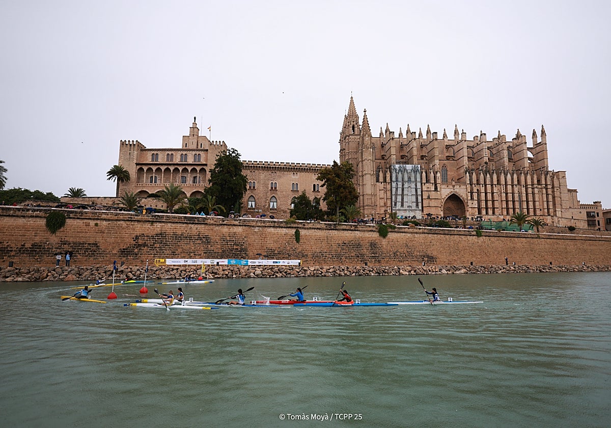 Competición matinal en el Parc de la Mar