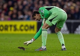 Surrealista imagen de Courtois con una rata durante el Gales - Bélgica