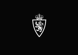 Muere el canterano del Real Zaragoza Jorge Casado a los 15 años