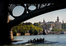 Vuelta a los orígenes en la Regata Sevilla - Betis: la Torre del Oro será el punto de llegada de la prueba