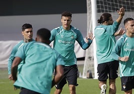 Todos disponibles para Pellegrini a excepción de Pau López, Isco y Junior