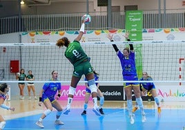 La visita del campeón de liga, exigente desafío para el Fundación Cajasol Andalucía en Dos Hermanas