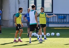 Fornals participa en el entrenamiento del Betis tras jugar con España