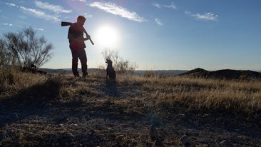 Desmontando el mito del abandono de los perros de caza: «Paso con ellos más tiempo que con mis amigos»