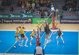 La ilusión es el motor del Fundación Cajasol Andalucía en Apeldoorn