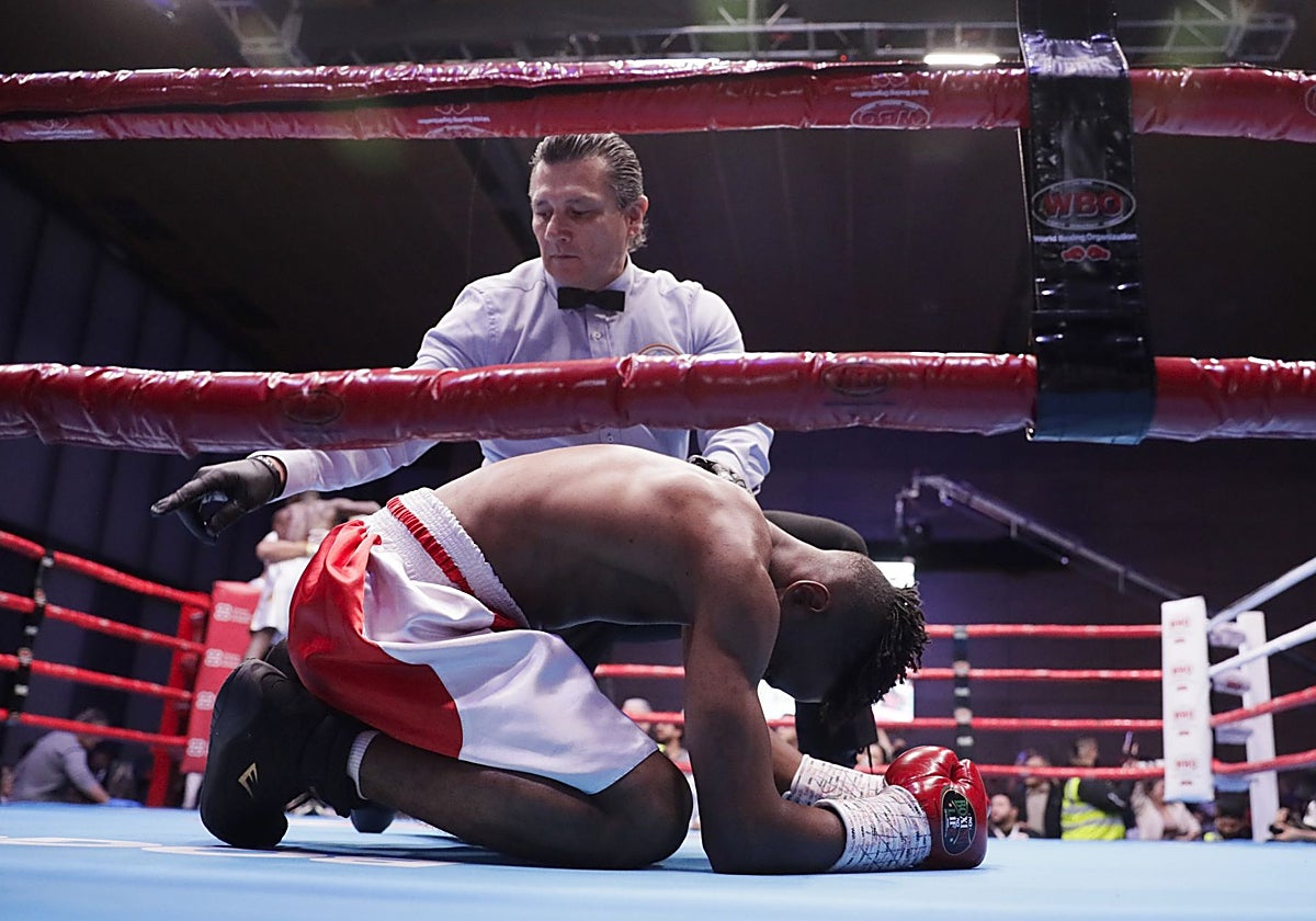 Combate de boxeo de la WBO