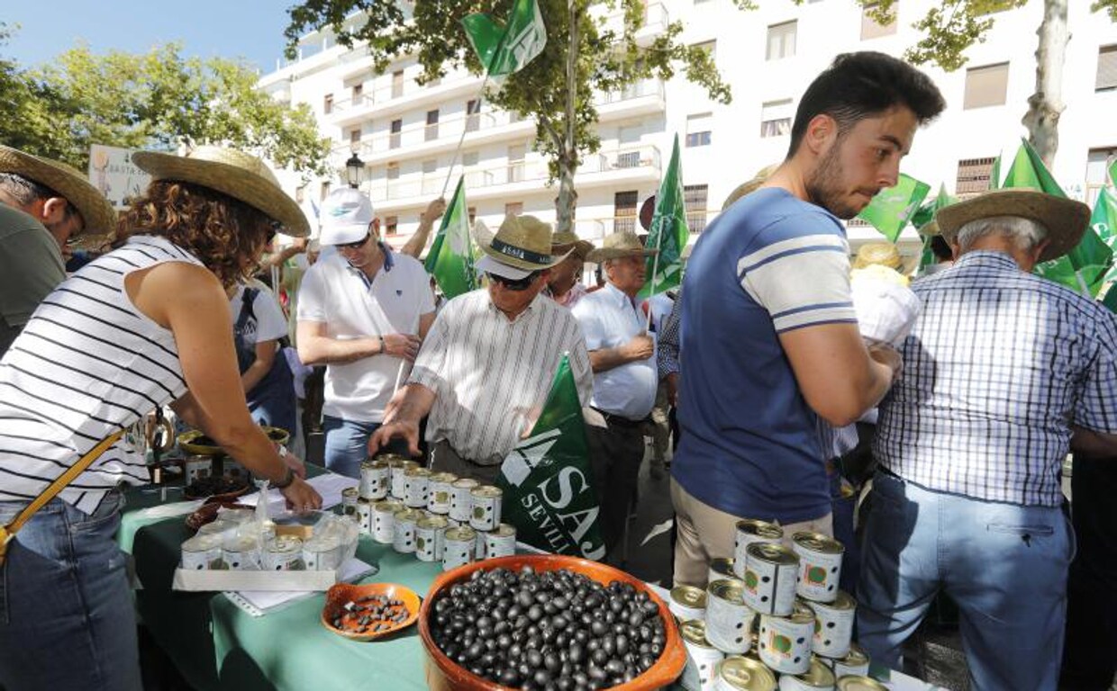 Brussels gives Washington 6 more months to withdraw the tariff on black olives