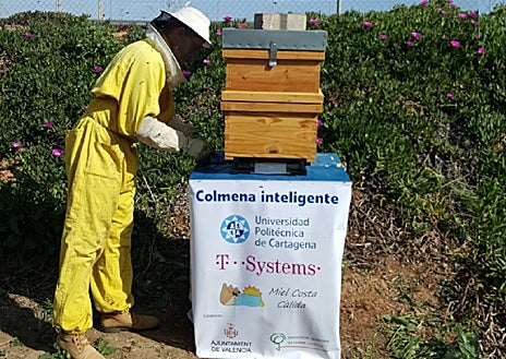 Imagen secundaria 1 - Arriba, colmenas de Nuctramiel. Debajo, izquierda, colmena inteligente de T-Systems y, debajo derecha, alimentos energéticos de Zukán para abejas