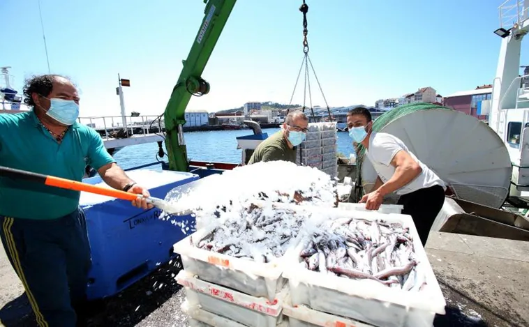 El sector pesquero se plantea llevar a los tribunales a Bruselas